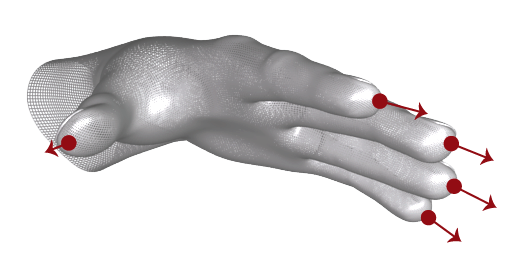 Finger