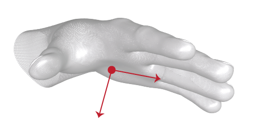 Palm Vectors